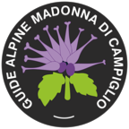 Guide Alpine Campiglio logo