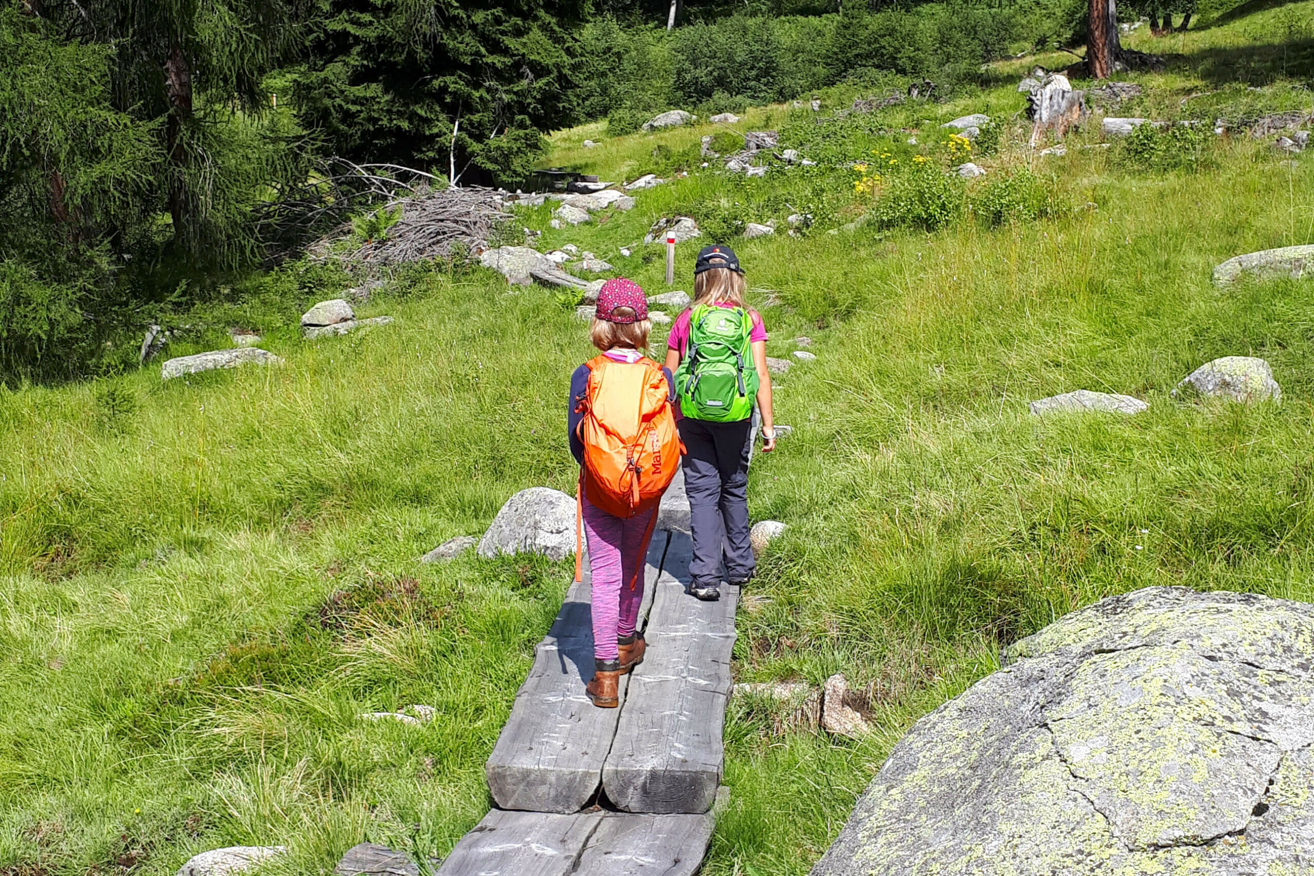 Naturalistic excursion for children