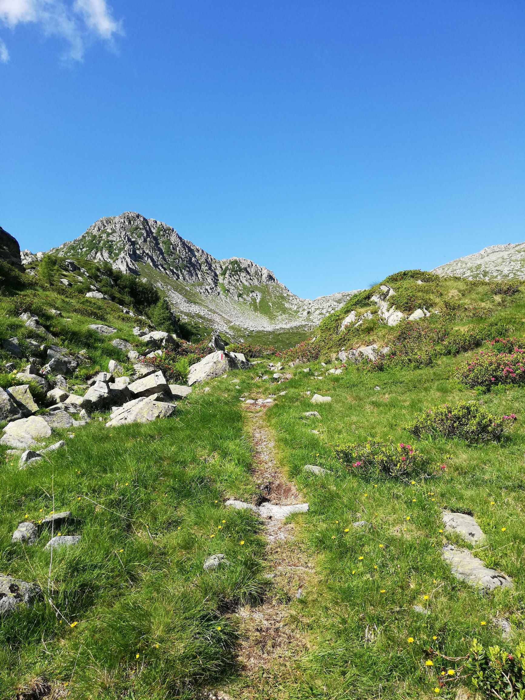 Passo della Falculotta