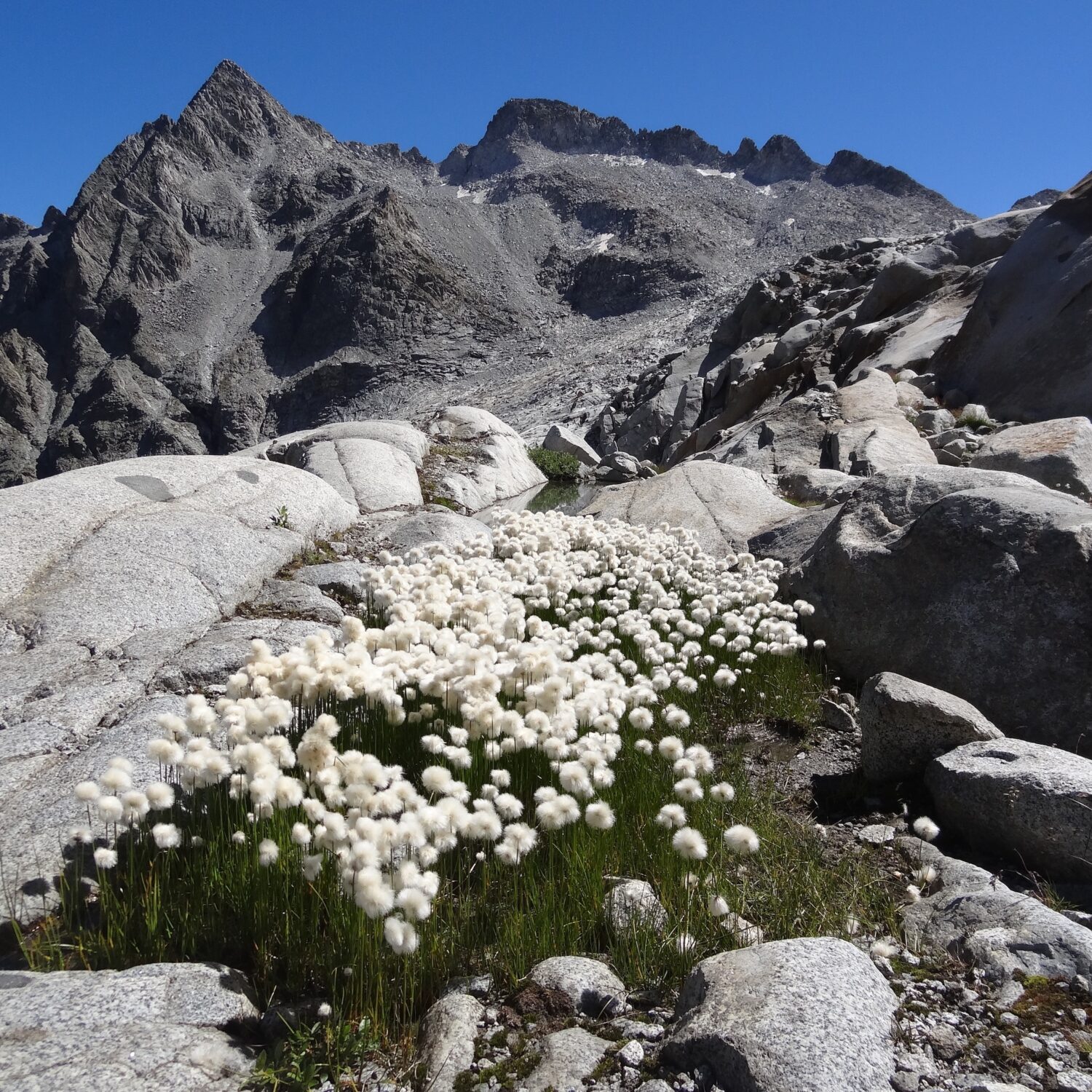 Traversata in quota al Corno di Cavento (3407 m)