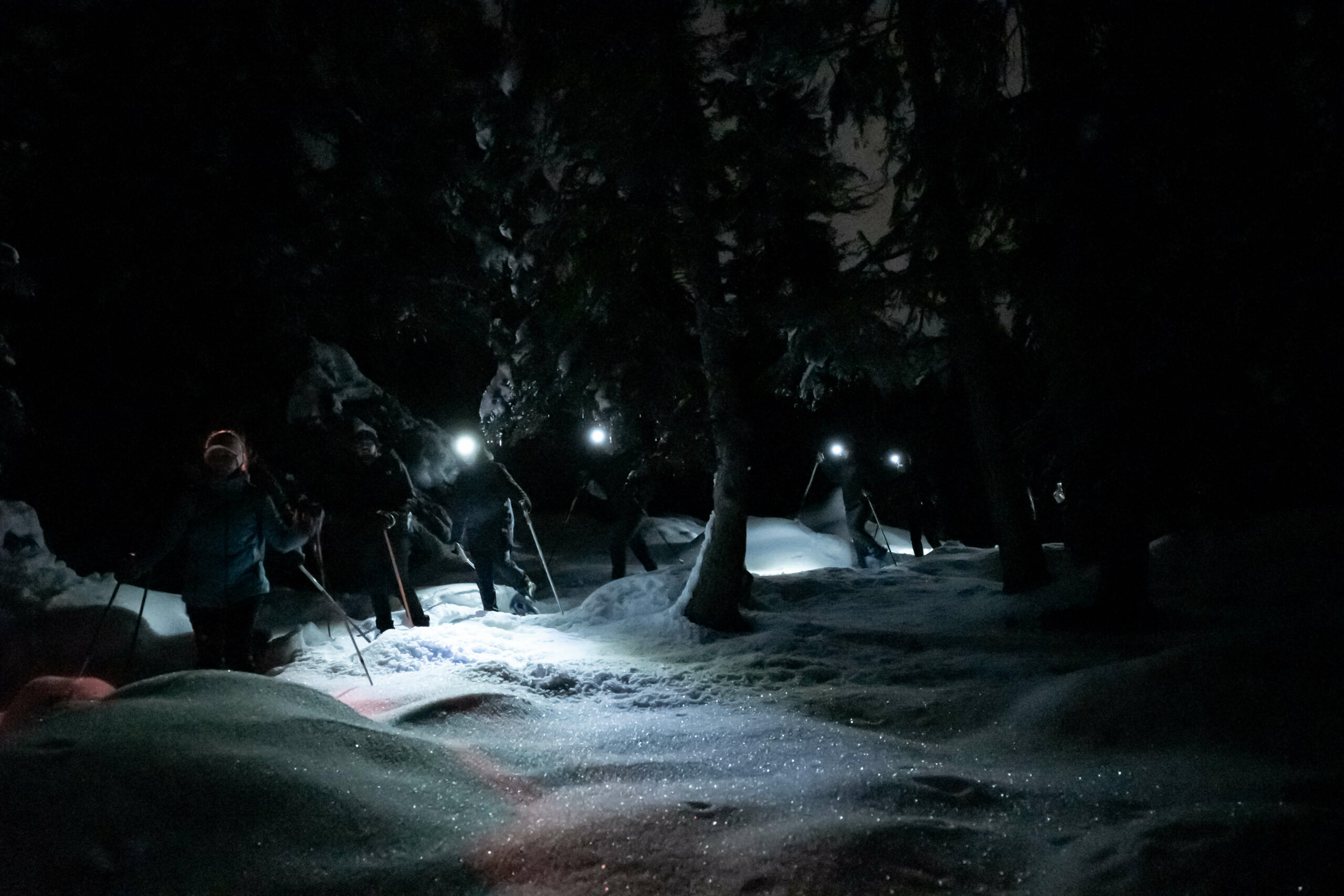 Ciaspolata serale con cena tipica in rifugio