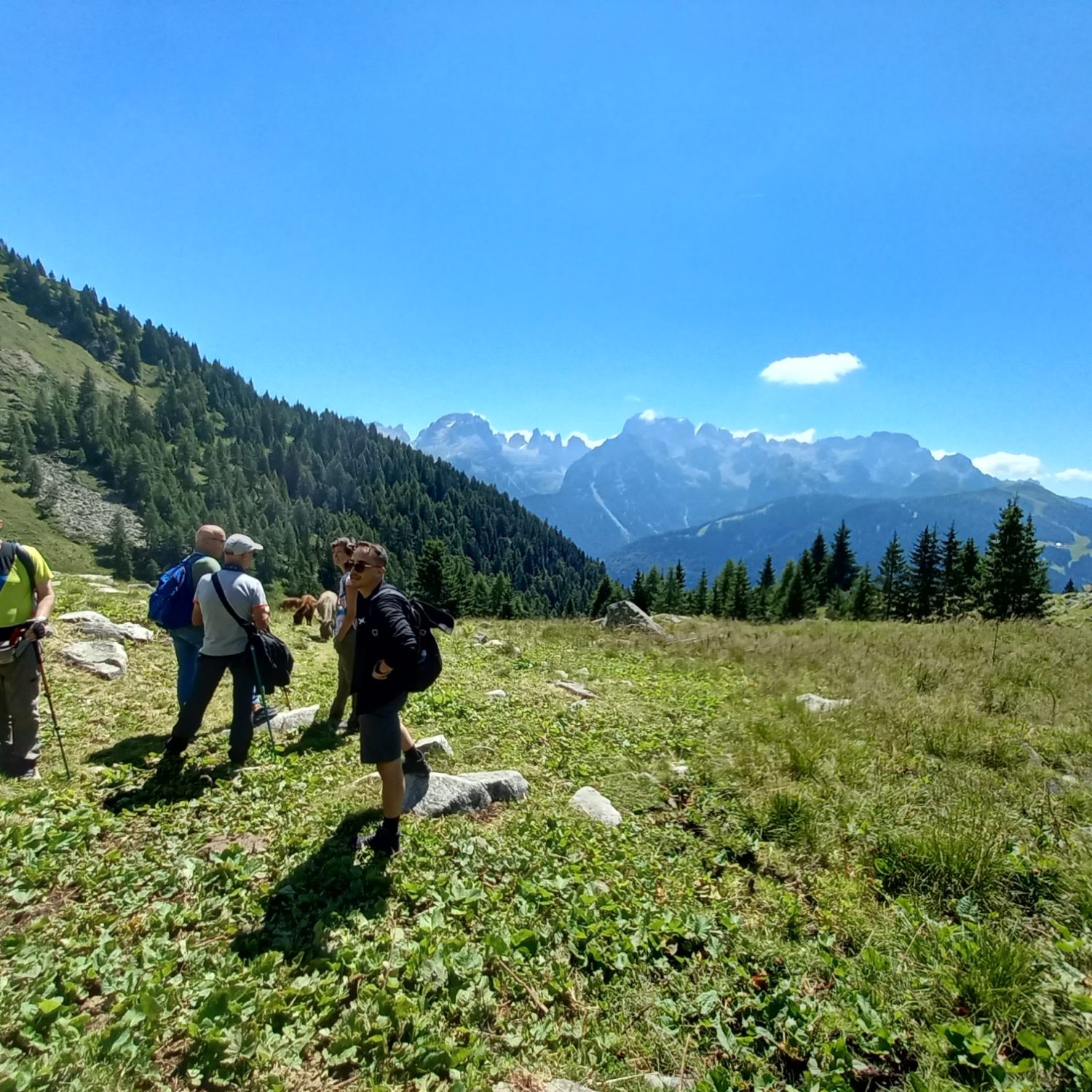 Trekking e Sapori: Escursione al Lago e Malga Ritorto